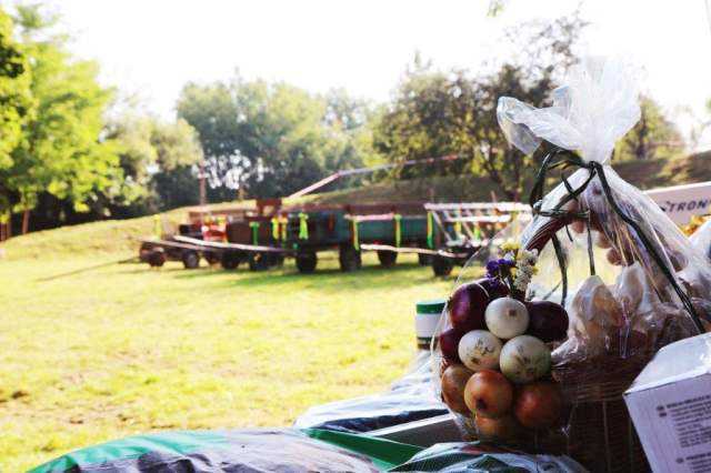 furmanske_preteky2019_01